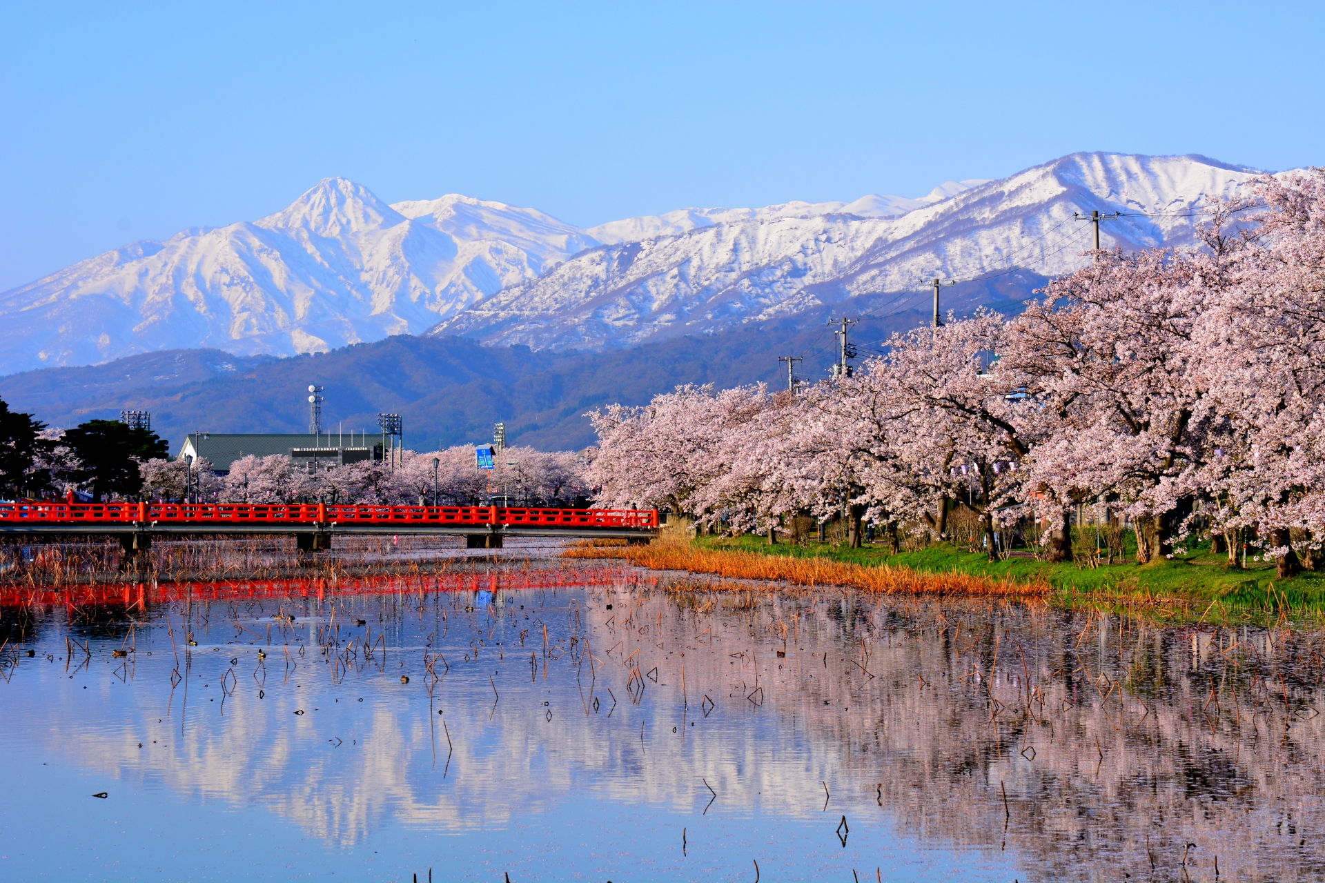 地域とともに築いてきた実績。